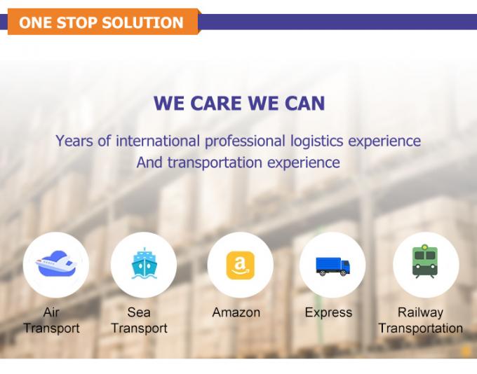 Top 10 Freight Forwarders Agent Zim Forwarding DDP Fast Sea Ocean Shipping China to USA Malaysia Singapore India