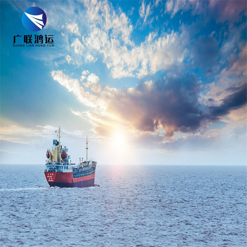 LCL International Sea Freight Forwarder Ocean Transportation CIF DDU DDP